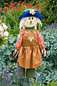 SCARECROW IN VEGETABLE GARDEN