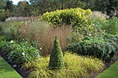 BORDER IN EARLY AUTUMN WITH CLIPPED BUXUS,  CAREX ELATA AUREA AND GRASSES