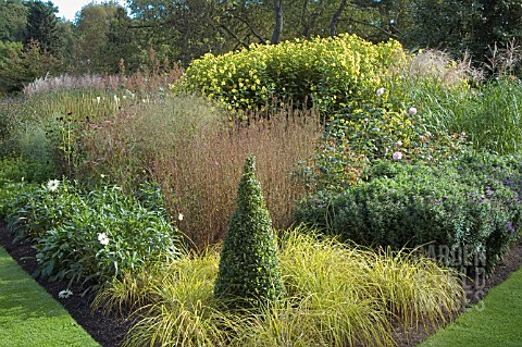 BORDER_IN_EARLY_AUTUMN_WITH_CLIPPED_BUXUS__CAREX_ELATA_AUREA_AND_GRASSES