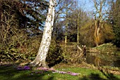 THE GARDENS AT HODSOCK PRIORY, NOTTINGHAMSHIRE