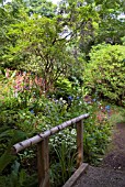 THE WOODLAND WALK AT CLUNY HOUSE GARDENS