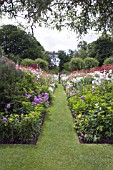 THE GARDEN AT PITMUIES HOUSE, FORFARSHIRE, SCOTLAND