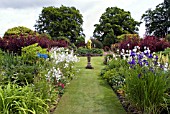 THE GARDEN AT PITMUIES HOUSE. FORFARSHIRE. SCOTLAND