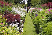 THE GARDEN AT PITMUIES HOUSE. FORFARSHIRE. SCOTLAND