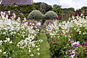 THE GARDEN AT PITMUIES HOUSE. FORFARSHIRE. SCOTLAND