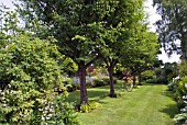 THE GARDEN AT PITMUIES HOUSE. FORFARSHIRE. SCOTLAND