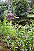 THE LOCH AT PITMUIES HOUSE GARDEN