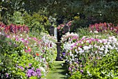 HERBACEOUS BORDERS AT PITMUIES HOUSE