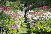 SUNDIAL AND HERBACEOUS BORDERS AT PITMUIES HOUSE