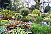 THREAVE GARDENS IN EARLY SUMMER