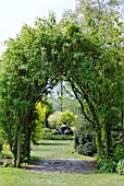 THE ENTRANCE TO THE SECRET GARDEN AT THREAVE GARDENS