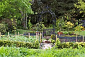 THE KITCHEN GARDEN AT GLENWHAN GARDENS