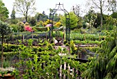 THE KITCHEN GARDEN AT GLENWHAN GARDENS