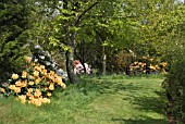 GLENWHAN GARDENS IN LATE SPRING