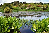 THE LOCH AT GLENWHAN GARDENS