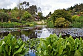 THE LOCH AND THE OBELISK AT GLENWHAN GARDENS