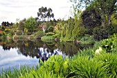 THE LOCHSIDE AT GLENWHAN GARDENS