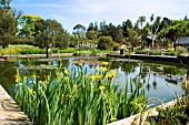 THE LAKE AT LOGAN BOTANIC GARDEN