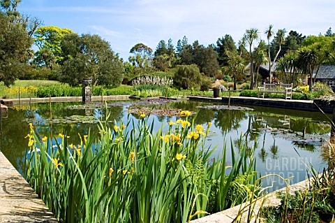 THE_LAKE_AT_LOGAN_BOTANIC_GARDEN