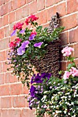 MIXED WALL BASKETS