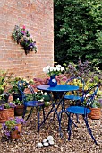 PATIO GARDEN IN SUMMER