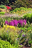 HERBACEOUS BORDERS AT RHS HARLOW CARR