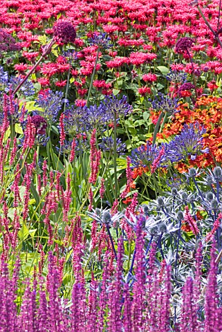HERBACEOUS_BORDER_IN_SUMMER