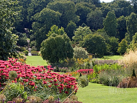 HERBACEOUS_BORDERS_AT_RHS_HARLOW_CARR_GARDEN