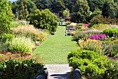 THE HERBACEOUS BORDERS AT HARLOW CARR GARDENS IN MID-SUMMER