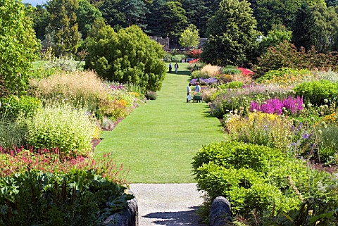 THE_HERBACEOUS_BORDERS_AT_HARLOW_CARR_GARDENS_IN_MIDSUMMER