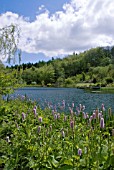 THE LAKE IN THE HIMALAYAN GARDEN. GREWELTHORPE, NORTH YORKSHIRE