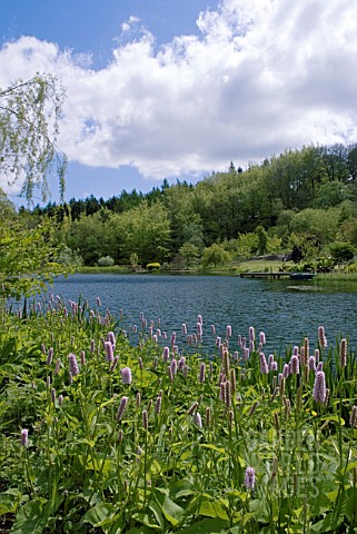 THE_LAKE_IN_THE_HIMALAYAN_GARDEN_GREWELTHORPE_NORTH_YORKSHIRE