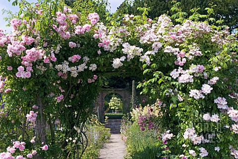 ROSE_ARCH_IN_THE_GARDENS_AT_BURTON_AGNES_HALL