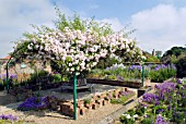 THE CAMPANULA GARDEN AT BURTON AGNES HALL, EAST YORKSHIRE