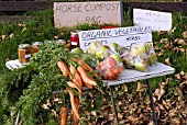 ROADSIDE STALL SELLING ORGANIC FRUIT AND VEGETABLES