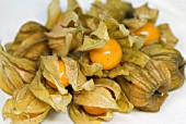 PHYSALIS PERUVIANA