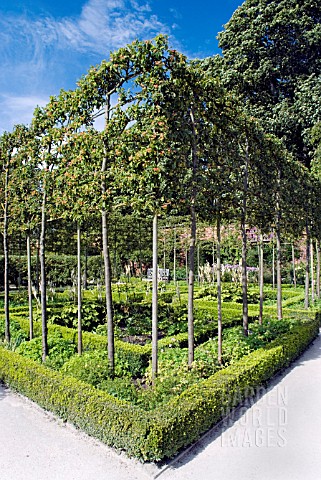 ESPALIERED_CRAB_APPLE_TREES_ALNWICK_GARDEN