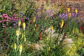 LATE SUMMER BORDER AT THE ALNWICK GARDEN