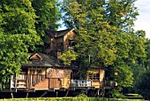 THE TREE HOUSE AT THE ALNWICK GARDEN