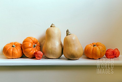 BUTTERNUT_AND_MUNCHKIN_SQUASHES