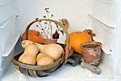 WINTER SQUASHES AND PUMPKINS