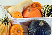 WOODEN BOX OF WINTER SQUASHES AND PUMPKINS