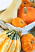 WOODEN BOX OF WINTER SQUASHES AND PUMPKINS