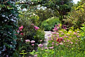 EARLY SUMMER BORDERS