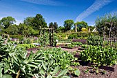 RAISED BEDS IN THE VEGETABLE GARDEN AT HARLOW CARR