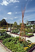 RAISED VEGETABLE BEDS AT HARLOW CARR