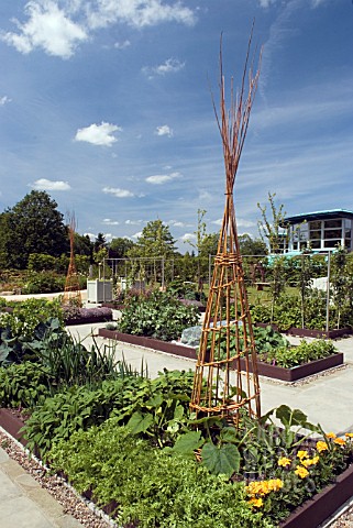 RAISED_VEGETABLE_BEDS_AT_HARLOW_CARR