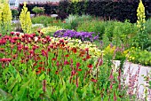 SUMMER FLOWERING PERENNIALS IN MIXED BORDER