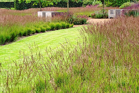 THE_DRIFTS_OF_GRASS_GARDEN_SCAMPSTON_WALLED_GARDEN