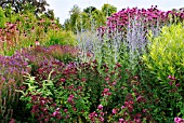 PERENNIAL MEADOW BORDER